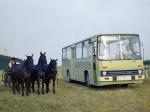 Ikarus 266 1972 года